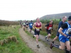 Viking Chase 2010 P1250840