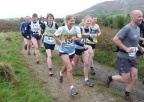 Viking Chase 2010 P1250850