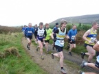 Viking Chase 2010 P1250851
