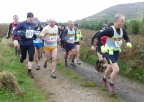 Viking Chase 2010 P1250860