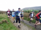 Viking Chase 2010 P1250861
