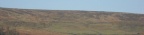 Blakeyblitz2012001