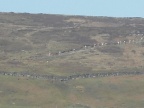 Blakeyblitz2012002