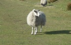 Blakeyblitz2012006