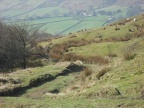 Blakeyblitz2012011