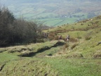 Blakeyblitz2012021